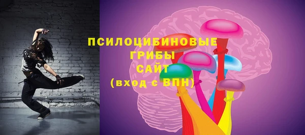 СК Белокуриха