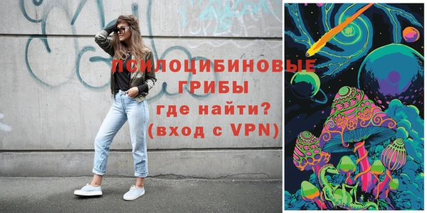 стаф Сатка