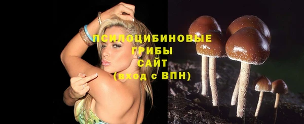 амф Белоозёрский