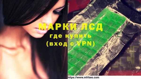 СК Белокуриха