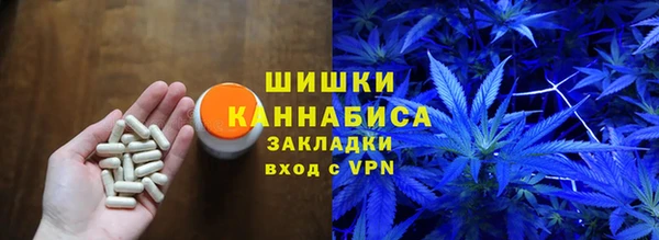СК Белокуриха